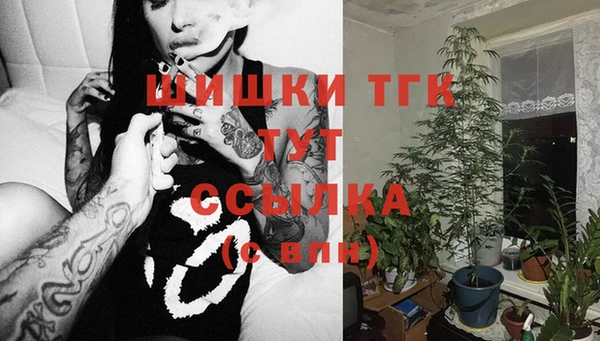герыч Арсеньев