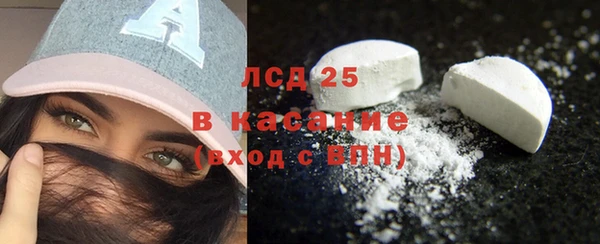 прущий лед Алзамай