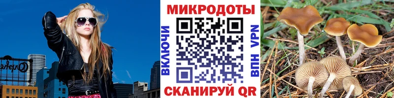 Псилоцибиновые грибы GOLDEN TEACHER где купить наркотик Ликино-Дулёво